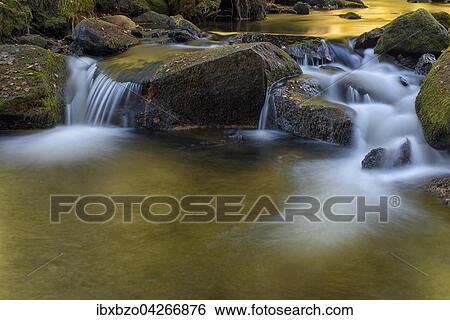 Stock Photograph - Fluss Vydra, mit Moos bewachsene Steine, Nationalpark Sumava, Bohmerwald, Tschechien, Europa. Fotosearch