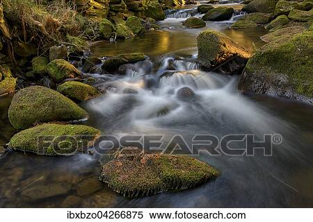 Stock Photography - Fluss Vydra, mit Moos bewachsene Steine, Nationalpark Sumava, Bohmerwald, Tschechien, Europa. Fotosearch