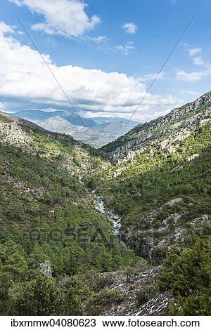 Flussbett des Tavignano, Corte, Departement Haute-Corse, Korsika, Frankreich, Europa View Large Photo Image Stock Image - Flussbett des Tavignano, Corte, Departement Haute-Corse, Korsika, Frankreich, Europa. Fotosearch