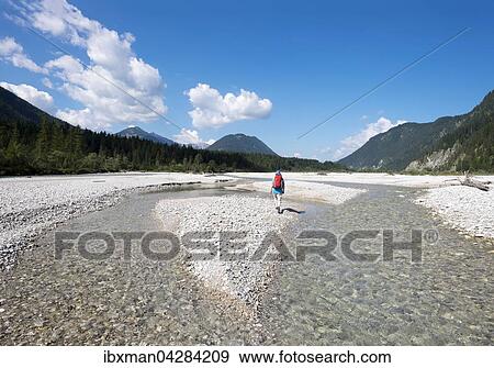 Frau wandert auf Kiesbank, Isar bei Vorderriss, Gemeinde Lenggries, Isarwinkel, Oberbayern, Bayern, Deutschland, Europa View Large Photo Image Stock Photo - Frau wandert auf Kiesbank, Isar bei Vorderriss, Gemeinde Lenggries, Isarwinkel, Oberbayern, Bayern, Deutschland, Europa. Fotosearch