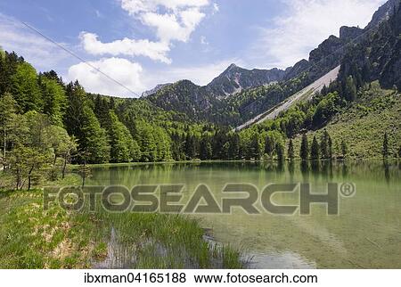 Frillensee, Inzell, Staufengruppe, Chiemgauer Alpen, Chiemgau, Oberbayern, Bayern, Deutschland, Europa View Large Photo Image Stock Photo - Frillensee, Inzell, Staufengruppe, Chiemgauer Alpen, Chiemgau, Oberbayern, Bayern, Deutschland, Europa. Fotosearch