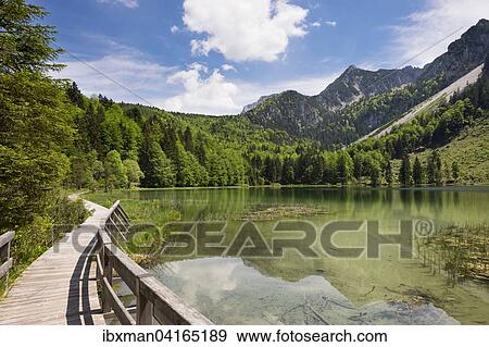 Frillensee, Inzell, Staufengruppe, Chiemgauer Alpen, Chiemgau, Oberbayern, Bayern, Deutschland, Europa View Large Photo Image Stock Photo - Frillensee, Inzell, Staufengruppe, Chiemgauer Alpen, Chiemgau, Oberbayern, Bayern, Deutschland, Europa. Fotosearch