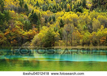 Stock Photo - Funf-Blumen-See in herbstlich verfarbter Umgebung, Jiuzhaigou Nationalpark, UNESCO-Weltnaturerbe, Provinz Sichuan, China, Asien. Fotosearch