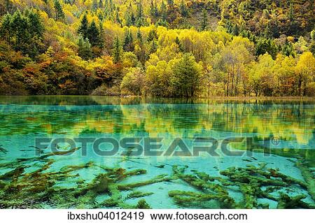 Stock Photo - Funf-Blumen-See in herbstlich verfarbter Umgebung, Jiuzhaigou Nationalpark, UNESCO-Weltnaturerbe, Provinz Sichuan, China, Asien. Fotosearch