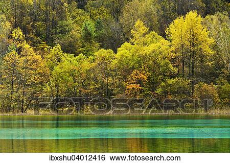 Stock Photograph - Funf-Blumen-See in herbstlich verfarbter Umgebung, Jiuzhaigou Nationalpark, UNESCO-Weltnaturerbe, Provinz Sichuan, China, Asien. Fotosearch