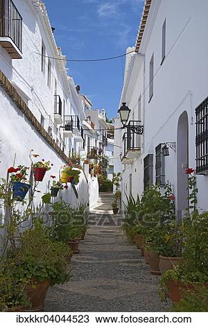Gasse mit Blumentopfen, Weisse Dorfer, Frigiliana, Costa del Sol, Andalusien, Spanien, Europa View Large Photo Image Stock Image - Gasse mit Blumentopfen, Weisse Dorfer, Frigiliana, Costa del Sol, Andalusien, Spanien, Europa. Fotosearch
