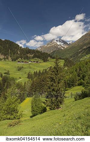 Gebirgslandschaft mit Bauernhausern, bei Pragraten am Grossvenediger, Virgental, Osttirol, Osterreich, Europa View Large Photo Image Picture - Gebirgslandschaft mit Bauernhausern, bei Pragraten am Grossvenediger, Virgental, Osttirol, Osterreich, Europa. Fotosearch