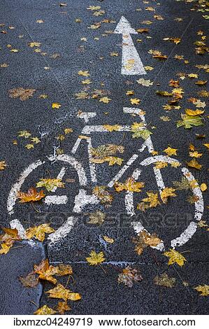 Gekennzeichneter Fahrradweg, regennass mit Herbstlaub, Bamberg, Oberfranken, Bayern, Deutschland, Europa View Large Photo Image Stock Photo - Gekennzeichneter Fahrradweg, regennass mit Herbstlaub, Bamberg, Oberfranken, Bayern, Deutschland, Europa. Fotosearch