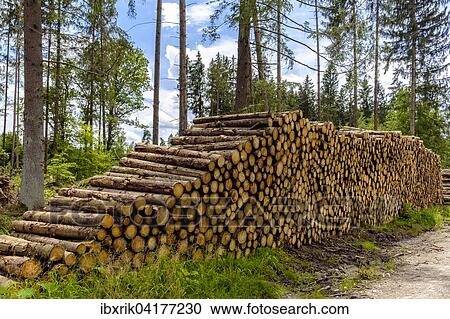 Geschlagenes Holz, Holzstapel, Forstenrieder Park, Munchen, Oberbayern, Bayern, Deutschland, Europa View Large Photo Image Stock Image - Geschlagenes Holz, Holzstapel, Forstenrieder Park, Munchen, Oberbayern, Bayern, Deutschland, Europa. Fotosearch