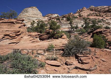 Gesteinsformationen aus Sandstein am Canyon Overlook Trail, Zion Nationalpark, Utah, USA, Nordamerika View Large Photo Image Picture - Gesteinsformationen aus Sandstein am Canyon Overlook Trail, Zion Nationalpark, Utah, USA, Nordamerika. Fotosearch