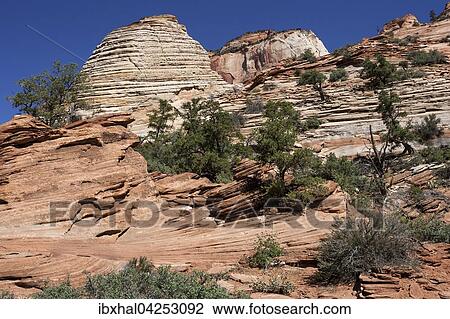 Stock Image - Gesteinsformationen aus Sandstein am Canyon Overlook Trail, Zion Nationalpark, Utah, USA, Nordamerika. Fotosearch