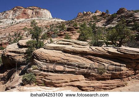 Gesteinsformationen aus Sandstein am Canyon Overlook Trail, hinten links East Temple, Zion Nationalpark, Utah, USA, Nordamerika View Large Photo Image Stock Image - Gesteinsformationen aus Sandstein am Canyon Overlook Trail, hinten links East Temple, Zion Nationalpark, Utah, USA, Nordamerika. Fotosearch