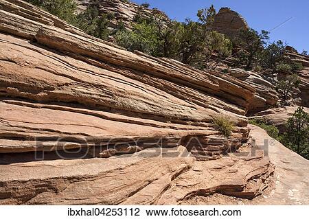 Stock Image - Gesteinsformationen aus Sandstein am Canyon Overlook Trail, Zion Nationalpark, Utah, USA, Nordamerika. Fotosearch