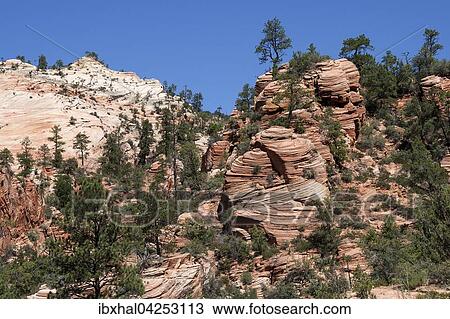 Gesteinsformationen aus Sandstein am Canyon Overlook Trail, Zion Nationalpark, Utah, USA, Nordamerika View Large Photo Image Stock Image - Gesteinsformationen aus Sandstein am Canyon Overlook Trail, Zion Nationalpark, Utah, USA, Nordamerika. Fotosearch