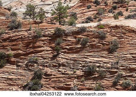 Gesteinsformationen aus Sandstein am Zion-Mount Carmel Highway, Zion Nationalpark, Utah, USA, Nordamerika View Large Photo Image Stock Image - Gesteinsformationen aus Sandstein am Zion-Mount Carmel Highway, Zion Nationalpark, Utah, USA, Nordamerika. Fotosearch