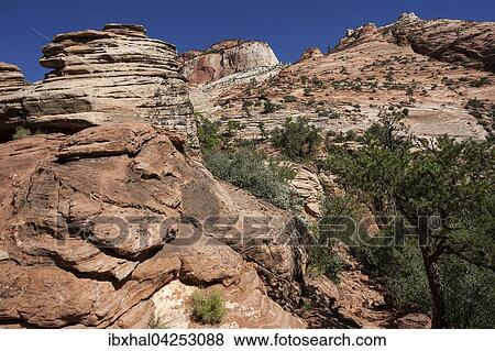 Gesteinsformationen aus Sandstein, Canyon Overlook Trail, Zion Nationalpark, Utah, USA, Nordamerika View Large Photo Image Stock Photo - Gesteinsformationen aus Sandstein, Canyon Overlook Trail, Zion Nationalpark, Utah, USA, Nordamerika. Fotosearch