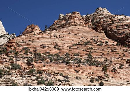 Gesteinsformationen aus Sandstein, Canyon Overlook Trail, Zion Nationalpark, Utah, USA, Nordamerika View Large Photo Image Stock Photo - Gesteinsformationen aus Sandstein, Canyon Overlook Trail, Zion Nationalpark, Utah, USA, Nordamerika. Fotosearch