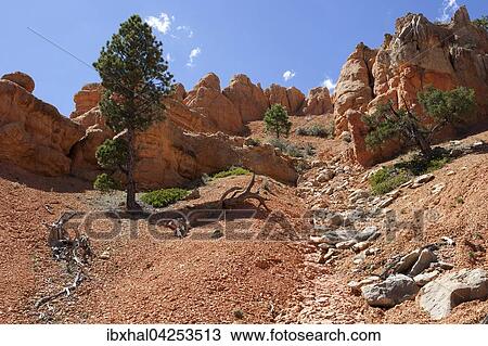 Gesteinsformationen durch Erosion, Red Canyon, Utah, USA, Nordamerika View Large Photo Image Stock Image - Gesteinsformationen durch Erosion, Red Canyon, Utah, USA, Nordamerika. Fotosearch