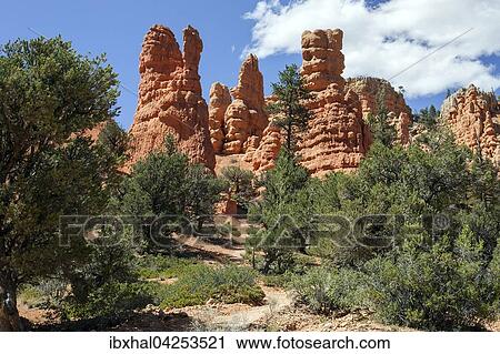Gesteinsformationen durch Erosion, Trekkingpfad und Kiefern (Pinus sp. ), Red Canyon, Utah, USA, Nordamerika View Large Photo Image Stock Image - Gesteinsformationen durch Erosion, Trekkingpfad und Kiefern (Pinus sp. ), Red Canyon, Utah, USA, Nordamerika. Fotosearch