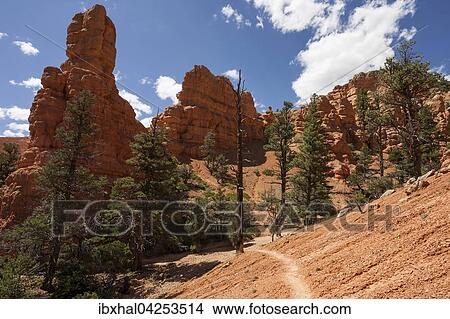 Gesteinsformationen durch Erosion und Trekkingpfad, Red Canyon, Utah, USA, Nordamerika View Large Photo Image Picture - Gesteinsformationen durch Erosion und Trekkingpfad, Red Canyon, Utah, USA, Nordamerika. Fotosearch