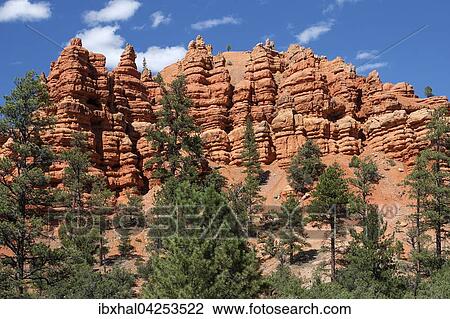 Gesteinsformationen durch Erosion und Kiefern (Pinus sp. ), Red Canyon, Utah, USA, Nordamerika View Large Photo Image Stock Image - Gesteinsformationen durch Erosion und Kiefern (Pinus sp. ), Red Canyon, Utah, USA, Nordamerika. Fotosearch
