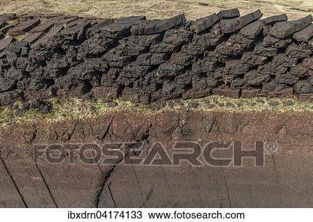 Gestochener Torf auf einem Moor, Yell, Shetland Inseln, Schottland, Grossbritannien, Europa View Large Photo Image Stock Image - Gestochener Torf auf einem Moor, Yell, Shetland Inseln, Schottland, Grossbritannien, Europa. Fotosearch