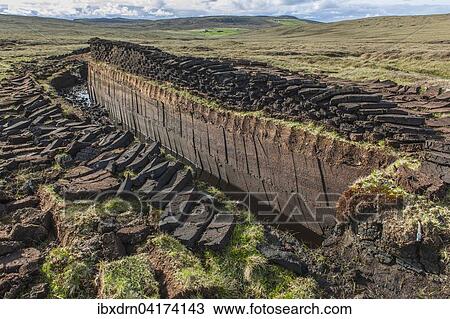 Gestochener Torf auf einem Moor, Yell, Shetland Inseln, Schottland, Grossbritannien, Europa View Large Photo Image Stock Image - Gestochener Torf auf einem Moor, Yell, Shetland Inseln, Schottland, Grossbritannien, Europa. Fotosearch
