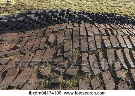 Gestochener Torf auf einem Moor, Yell, Shetland Inseln, Schottland, Grossbritannien, Europa View Large Photo Image Stock Photograph - Gestochener Torf auf einem Moor, Yell, Shetland Inseln, Schottland, Grossbritannien, Europa. Fotosearch