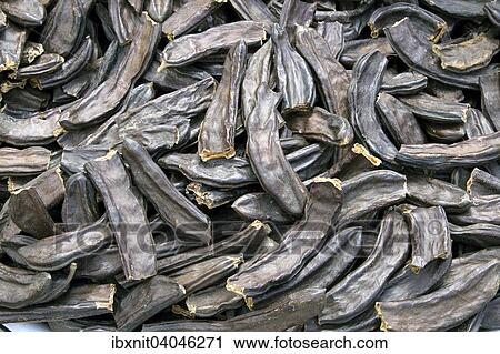 Stock Image - Getrocknete Johannisbrotfruchte, Uchisar, Provinz Nevsehir, Kappadokien, Turkei, Asien. Fotosearch
