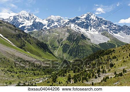 Gipfel der Konigspitze, Il Gran Zebru, Monte Zebru und Ortler, Ortles, 3905 m, Ortler-Alpen, Rosimtal, Valle di Rosim, Nationalpark Stilfser Joch, bei Sulden, Solda, Trentino-Sudtirol, Italien, Europa View Large Photo Image Stock Photograph - Gipfel der Konigspitze, Il Gran Zebru, Monte Zebru und Ortler, Ortles, 3905 m, Ortler-Alpen, Rosimtal, Valle di Rosim, Nationalpark Stilfser Joch, bei Sulden, Solda, Trentino-Sudtirol, Italien, Europa. Fotosearch