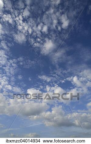 Grosse Schafchenwolken, Altocumulus, Deutschland, Europa View Large Photo Image Picture - Grosse Schafchenwolken, Altocumulus, Deutschland, Europa. Fotosearch
