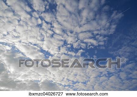 Grosse Schafchenwolken, Altocumulus, Deutschland, Europa View Large Photo Image Stock Photo - Grosse Schafchenwolken, Altocumulus, Deutschland, Europa. Fotosearch