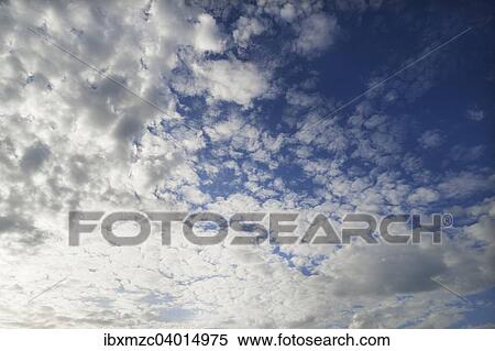 Grosse Schafchenwolken, Altocumulus, Deutschland, Europa View Large Photo Image Stock Photography - Grosse Schafchenwolken, Altocumulus, Deutschland, Europa. Fotosearch