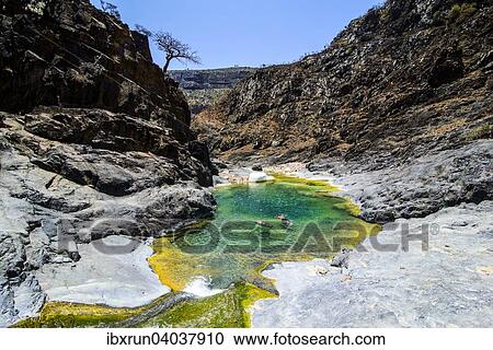 Gruner Teich in einem Tal am Dixsam Plateau, Sokotra, Jemen, Asien View Large Photo Image Stock Image - Gruner Teich in einem Tal am Dixsam Plateau, Sokotra, Jemen, Asien. Fotosearch