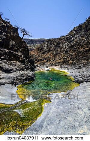 Gruner Teich in einem Tal am Dixsam Plateau, Sokotra, Jemen, Asien View Large Photo Image Stock Image - Gruner Teich in einem Tal am Dixsam Plateau, Sokotra, Jemen, Asien. Fotosearch