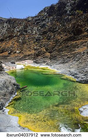 Gruner Teich in einem Tal am Dixsam Plateau, Sokotra, Jemen, Asien View Large Photo Image Stock Image - Gruner Teich in einem Tal am Dixsam Plateau, Sokotra, Jemen, Asien. Fotosearch