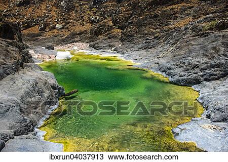 Gruner Teich in einem Tal am Dixsam Plateau, Sokotra, Jemen, Asien View Large Photo Image Stock Image - Gruner Teich in einem Tal am Dixsam Plateau, Sokotra, Jemen, Asien. Fotosearch