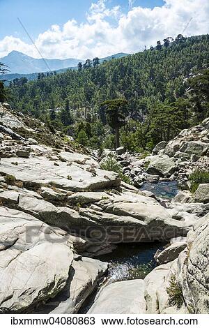 Stock Image - Gumpen im Fluss Golo, Regionaler Naturpark Korsika, Parc naturel regional de Corse, Korsika, Frankreich, Europa. Fotosearch