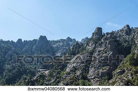 Stock Photo - Hange des Tavignano-Tals, Corte, Departement Haute-Corse, Korsika, Frankreich, Europa. Fotosearch