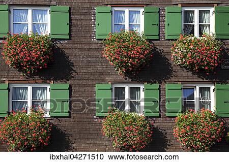 Stock Image - Hausfassade, altes Allgauer Haus mit Holzschindeln verkleidet und Geranien vor den Fenstern, Bad Hindelang, Allgau, Bayern, Deutschland, Europa. Fotosearch