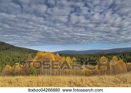 Herbst im Nationalpark Sumava, Bohmerwald, Tschechien, Europa View Large Photo Image Stock Image - Herbst im Nationalpark Sumava, Bohmerwald, Tschechien, Europa. Fotosearch