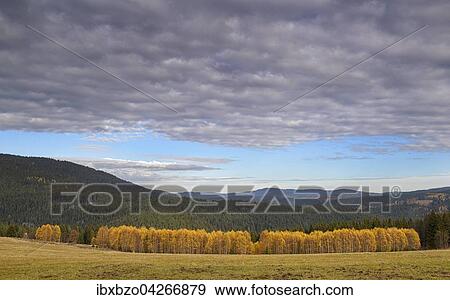 Herbst im Nationalpark Sumava, Bohmerwald, Tschechien, Europa View Large Photo Image Stock Photo - Herbst im Nationalpark Sumava, Bohmerwald, Tschechien, Europa. Fotosearch