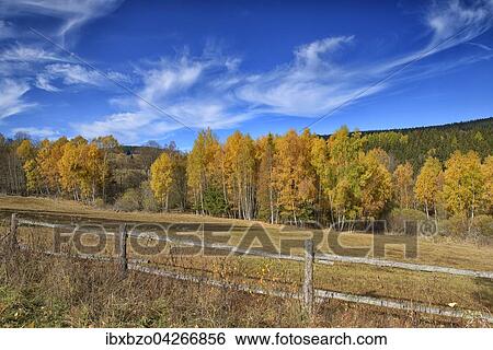 Herbst im Nationalpark Sumava, Bohmerwald, Tschechien, Europa View Large Photo Image Stock Photograph - Herbst im Nationalpark Sumava, Bohmerwald, Tschechien, Europa. Fotosearch