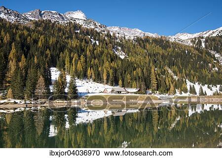 Stock Image - Herbst im Naturpark Riedingtal, Herbstverfarbung der Larchen, erster Schnee, Schliereralm, Schlierersee, Spiegelung, Zederhaus, Lungau, Salzburg, Osterreich, Europa. Fotosearch