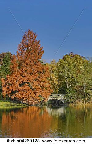 Stock Photo - Herbst im Park Worlitz, UNESCO-Welterbe Dessau- Worlitzer Gartenreich, Sachsen- Anhalt, Deutschland, Europa. Fotosearch