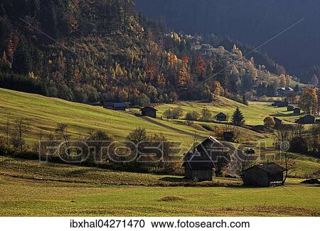 Herbstlich verfarbte Baume im Hintersteiner Tal, bei Bruck, Herbststimmung, Allgau, Bayern, Deutschland, Europa View Large Photo Image Stock Image - Herbstlich verfarbte Baume im Hintersteiner Tal, bei Bruck, Herbststimmung, Allgau, Bayern, Deutschland, Europa. Fotosearch