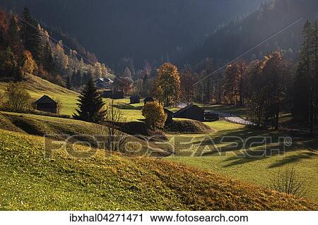 Herbstlich verfarbte Baume im Hintersteiner Tal, bei Bruck, Herbststimmung, Allgau, Bayern, Deutschland, Europa View Large Photo Image Stock Image - Herbstlich verfarbte Baume im Hintersteiner Tal, bei Bruck, Herbststimmung, Allgau, Bayern, Deutschland, Europa. Fotosearch