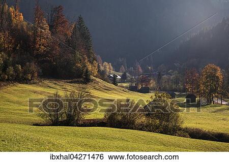 Herbstlich verfarbte Baume im Hintersteiner Tal, bei Bruck, Herbststimmung, Allgau, Bayern, Deutschland, Europa View Large Photo Image Stock Photograph - Herbstlich verfarbte Baume im Hintersteiner Tal, bei Bruck, Herbststimmung, Allgau, Bayern, Deutschland, Europa. Fotosearch