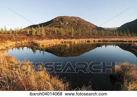 Stock Photo - Herbstliche Landschaft mit Spiegelung in einem See, Denali-Nationalpark, Alaska, USA, Nordamerika. Fotosearch