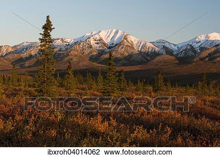 Herbstliche Tundra, Denali-Nationalpark, Alaska, USA, Nordamerika View Large Photo Image Stock Image - Herbstliche Tundra, Denali-Nationalpark, Alaska, USA, Nordamerika. Fotosearch